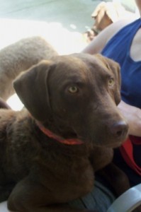 louie_sep 2011