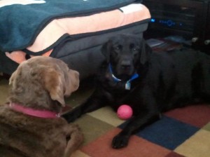 Sam & Ellie