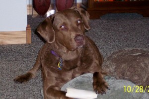 Sophie