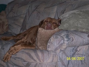 Sophie Sleeping