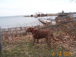 Jessie at Chesapeake Bay