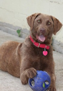 Sara and her ball