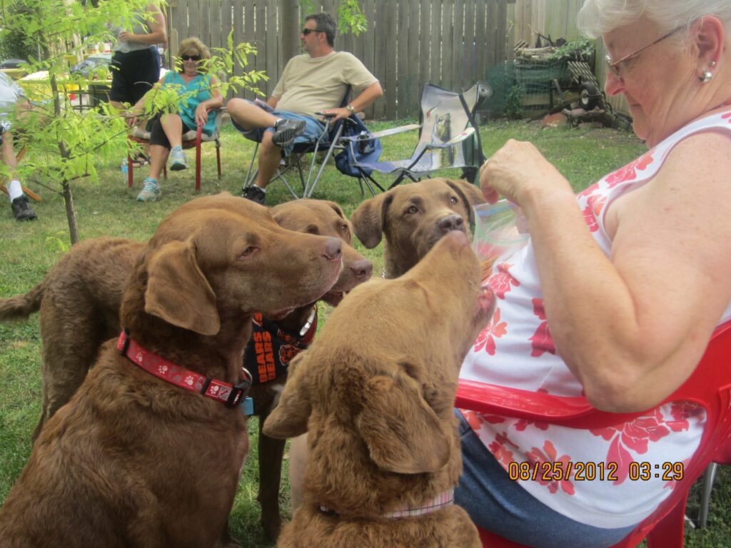 Thanks Jeff Horn for this photo as this is what I picture happened today at the Bridge. 